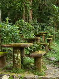 old picnic area